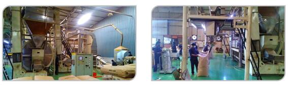 斯里蘭卡紅茶和綠茶