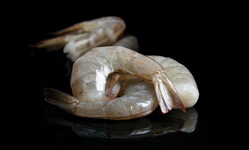 泰國蝦及其制品