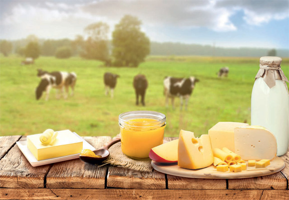 烏克蘭芝士和黃油