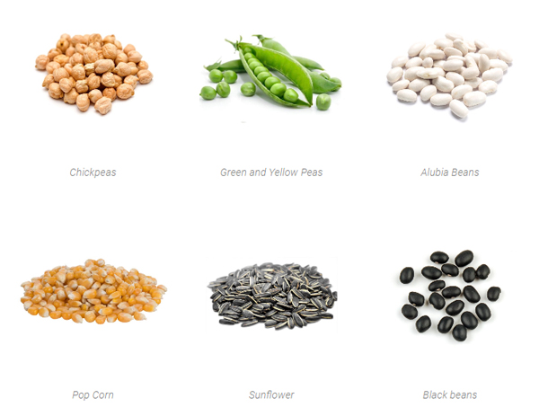 阿根廷豆類、玉米等農產品...