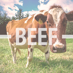 愛爾蘭牛肉、羊肉、家禽、...