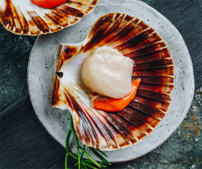 英國蘇格蘭西海岸歐洲大扇...