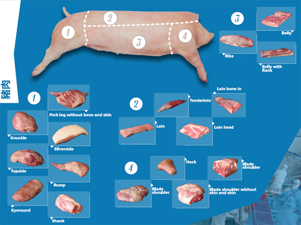 哥倫比亞冷凍豬肉