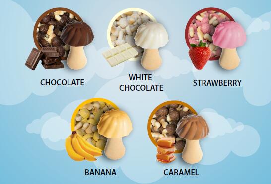 立陶宛蘑菇型巧克力餅干