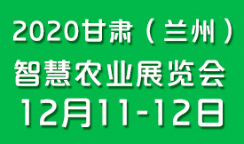 2020甘肅（蘭州）智慧...