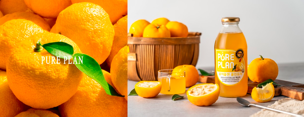 韓國Pure Plan緹...