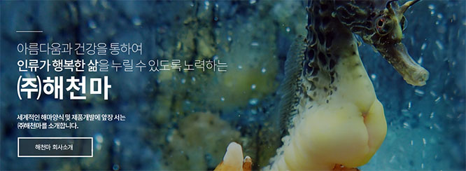 韓國海天馬Haechun...
