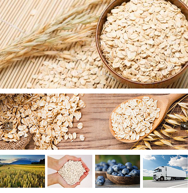 土庫曼斯坦麥片和藍莓