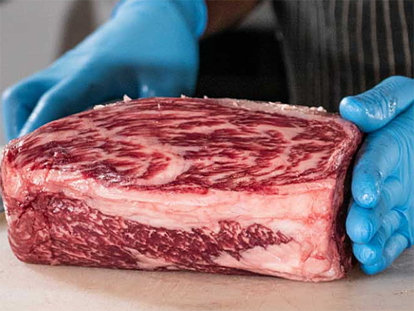 南非高品質和牛肉