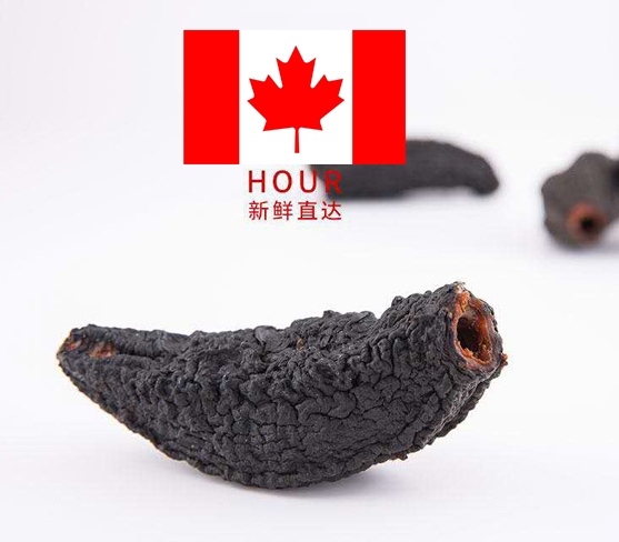 【推薦】加拿大自然優選紅...